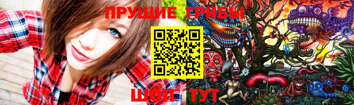 Псилоцибиновые грибы Psilocybine cubensis Геленджик