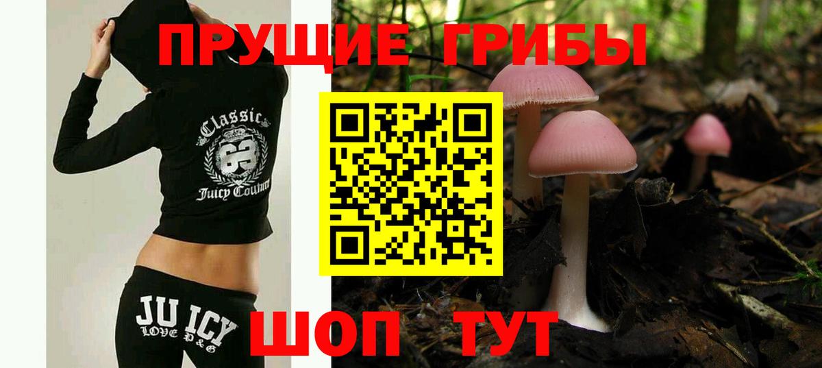 Геленджик  Галлюциногенные грибы Psilocybine cubensis  Вход с VPN  Галлюциногенные грибы MAGIC MUSHROOMS 